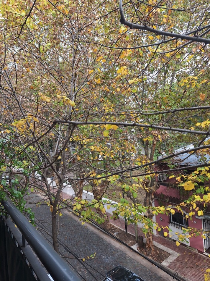 Departamento de 3 Ambientes en Venta - Lavalle 826, San Fernando